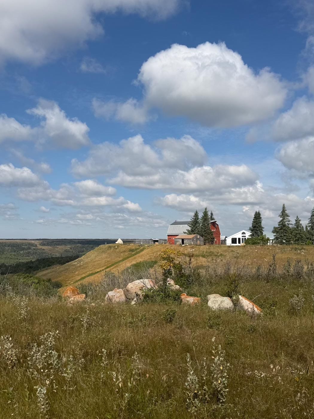 The ranch buildings on the hilltop, seen across the grass