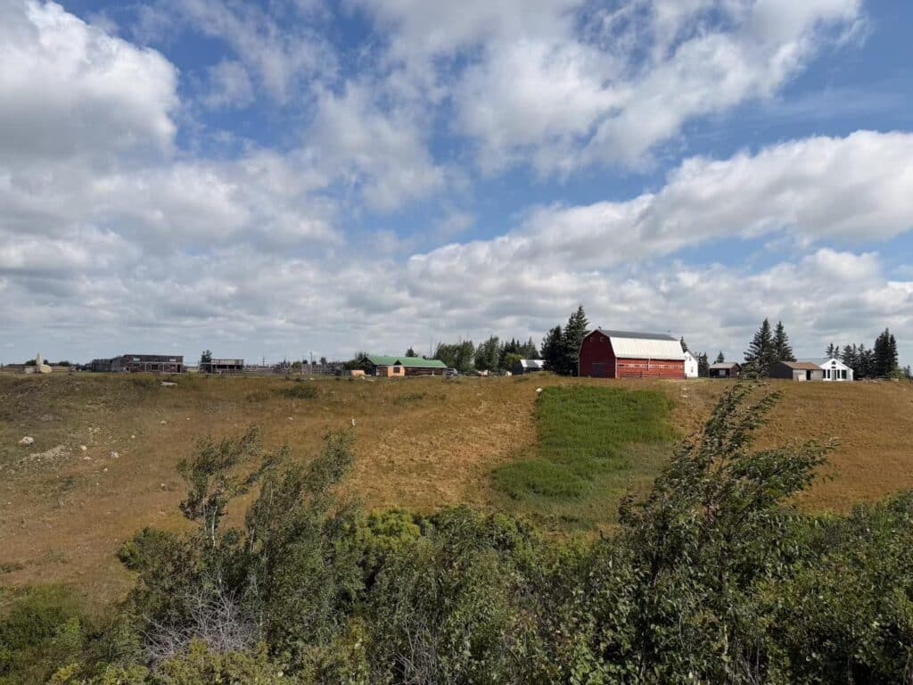 The ranch buildings on the hilltop, seen across the grass