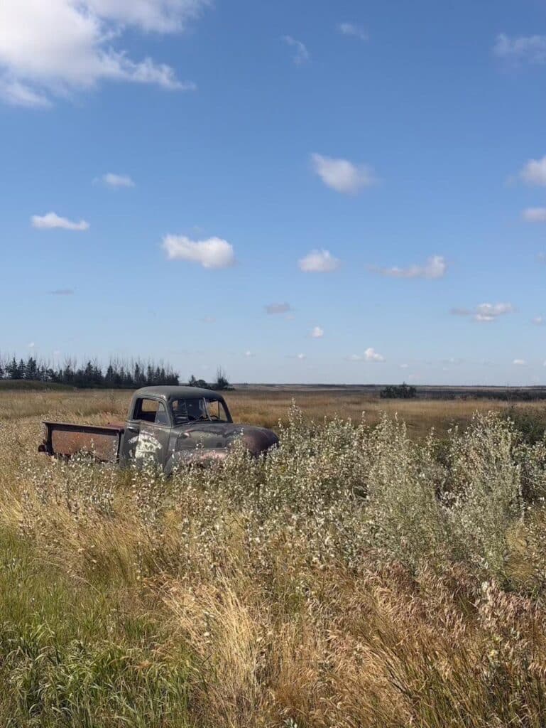 A well-aged car resting in tall prairie grass