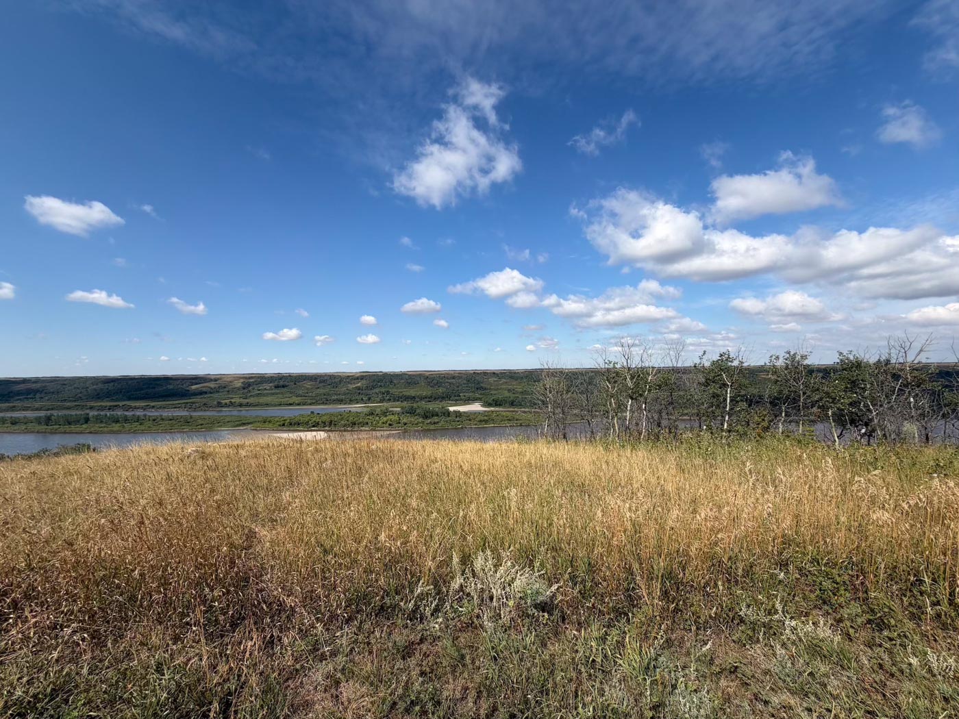 The river valley from the hills, the North Saskatchewan winding through
